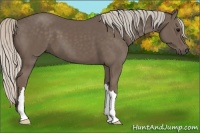 Horse Color:Silver Black 