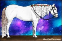 Horse Color:Chestnut Appaloosa 