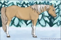 Horse Color:Palomino Tobiano Frame 