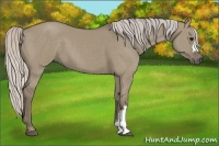Horse Color:Silver Grullo 