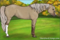 Horse Color:Silver Grullo 