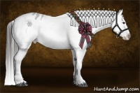 Horse Color:White Spotted Liver Chestnut Sabino Splash Appaloosa 