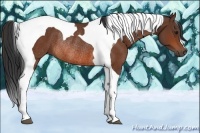 Horse Color:Bay Tobiano Rabicano 