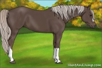 Horse Color:Silver Black 