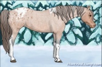 Horse Color:Bay Roan Tobiano Varnish 