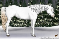 Horse Color:Chestnut Pearl Tobiano Appaloosa 