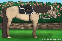 Horse Color:Amber Champagne Dun 