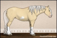 Horse Color:Silver Classic Champagne Dun Splash Frame 