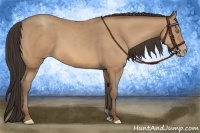 Horse Color:Amber Champagne 