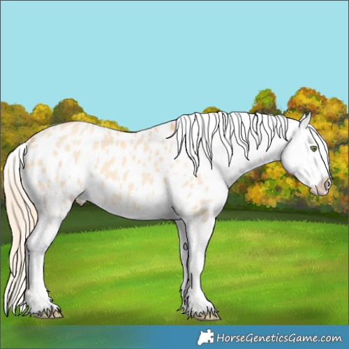 Horse Color:Gold Champagne Dun Blanket 
