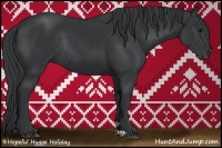 Horse Color:Black Rabicano 