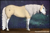 Horse Color:Silver Amber Champagne Dun Splash 
