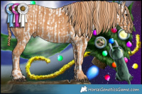 Horse Color:White Spotted Brown Dun Splash Appaloosa Rabicano Brindle