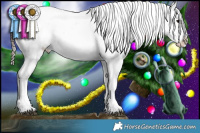 Horse Color:White Spotted Brown Dun Splash Appaloosa Rabicano  Brindle