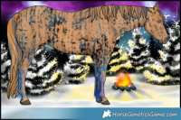 Horse Color:ERROR: UNKNOWN ANOMALY Brindle