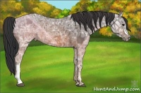 Horse Color:Brown Ice 