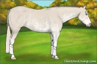 Horse Color:Smoky Creme Sabino  and Smoky Creme Sabino 
