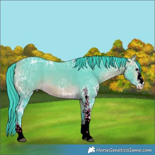 Horse Color:Watercolor White Spotted Buckskin Ice 