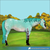 Horse Color:Watercolor White Spotted Buckskin Ice