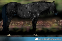 Horse Color:ERROR: UNKNOWN ANOMALY