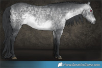 Horse Color:Brown Chinchilla