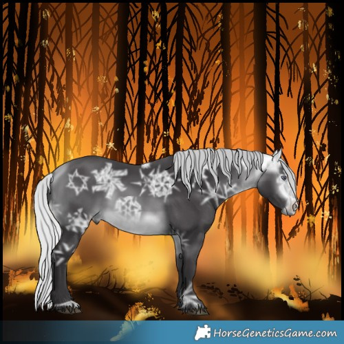 Horse Color:Silver Buckskin Chinchilla Ice