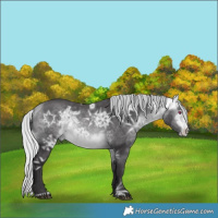 Horse Color:Silver Buckskin Chinchilla Ice 