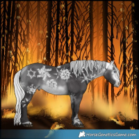 Horse Color:Silver Buckskin Chinchilla Ice 