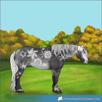 Horse Color:Silver Buckskin Chinchilla Ice 