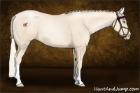 Horse Color:Gold Cream Champagne Pearl 