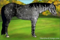 Horse Color:ERROR: UNKNOWN ANOMALY and ERROR: UNKNOWN ANOMALY