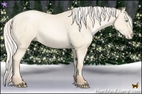 Horse Color:Silver Sable Cream Champagne Pearl 