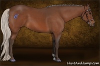 Horse Color:Silver Bay 