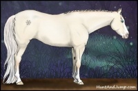 Horse Color:Silver Amber Cream Champagne Pearl Splash
