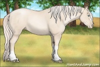 Horse Color:Gold Cream Champagne Pearl 