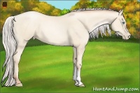 Horse Color:Silver Sable Cream Champagne Pearl