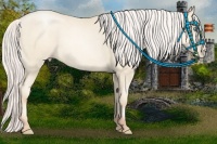Horse Color:Silver Amber Cream Champagne Pearl 