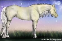 Horse Color:Silver Sable Cream Champagne Pearl Dun 