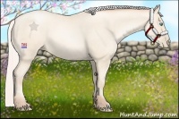 Horse Color:Silver Amber Cream Champagne Pearl