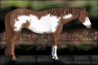 Horse Color:Chestnut Frame 