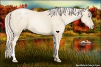 Horse Color:Gold Cream Champagne Pearl