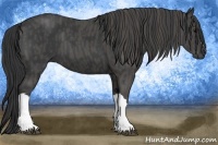 Horse Color:Black Brindle