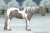 Horse Color:Silver Black Ice Tobiano 