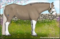 Horse Color:Silver Grullo Splash 