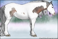 Horse Color:Brown Ice Splash Tobiano 