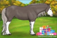 Horse Color:Silver Black Splash