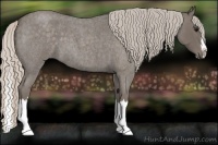 Horse Color:Silver Blue Roan Splash