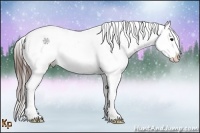 Horse Color:Brown Roan Snowflake Varnish