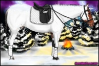 Horse Color:Bay Roan Appaloosa 