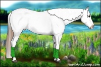 Horse Color:Smoky Black Tobiano Leopard